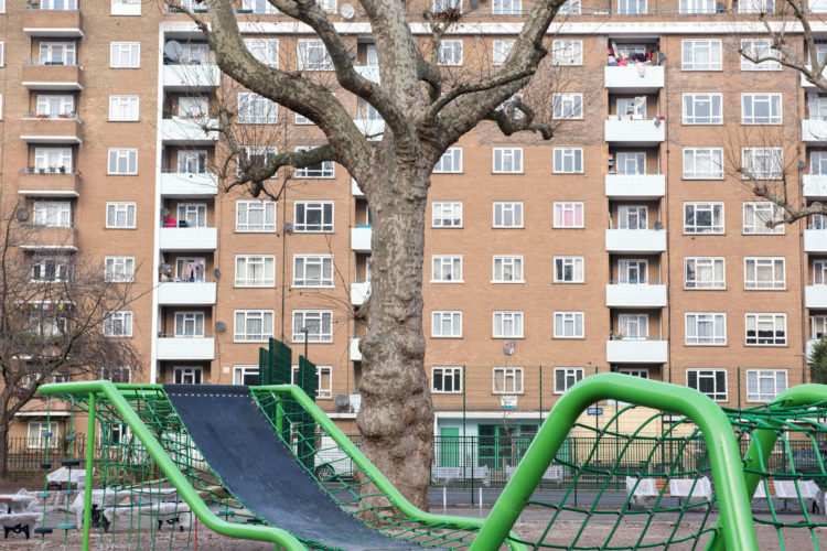 Block of flats with tree and outdoor playground