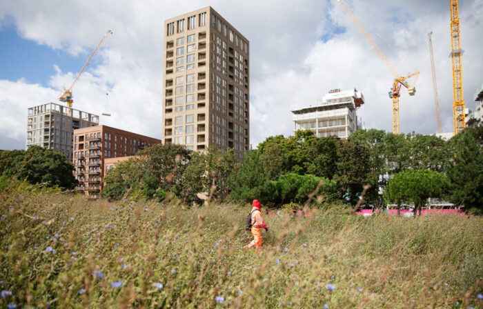 Construction taking place in an area of London. In the foreground are some trees, an a person in a high-vis jacket and trousers is walking through some grass and flowers. In the distance are some tall blocks of flats.