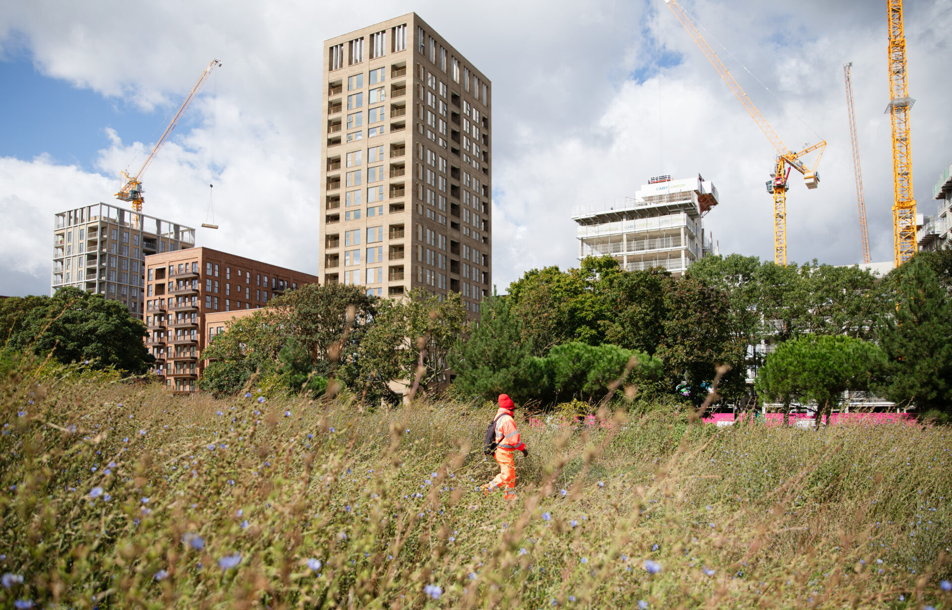 Construction taking place in an area of London. In the foreground are some trees, an a person in a high-vis jacket and trousers is walking through some grass and flowers. In the distance are some tall blocks of flats.