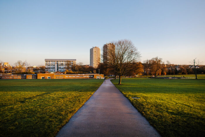 A footpath in the middle of a patch of grass in a park. In the distance are some high-rise buildings and trees.