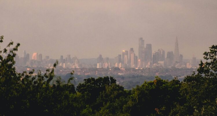 The London skyline with haze. In the foreground are some trees. Buildings can be seen in the distance