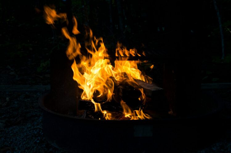 Logs burning